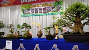 IMG-20220818-WA0161