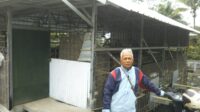 IMG-20220823-WA0022