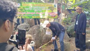 Foto : Penanaman pojon