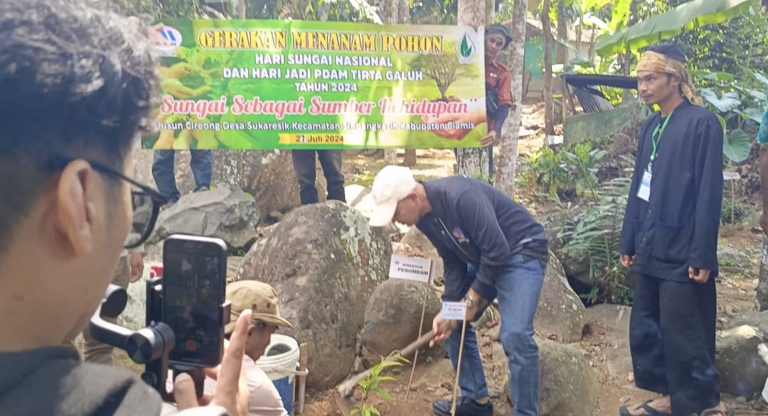 Foto : Penanaman pojon