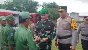 Image of Img 20241031 wa0049