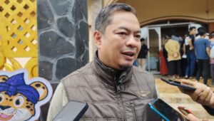 Image of Img 20241110 wa0011