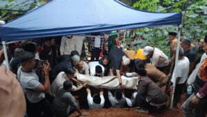 Image of Img 20241125 wa0024