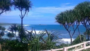 Image of Oip 63 3211850390