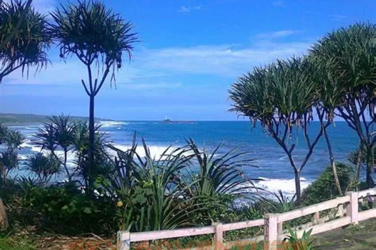 Image of Oip 63 3211850390