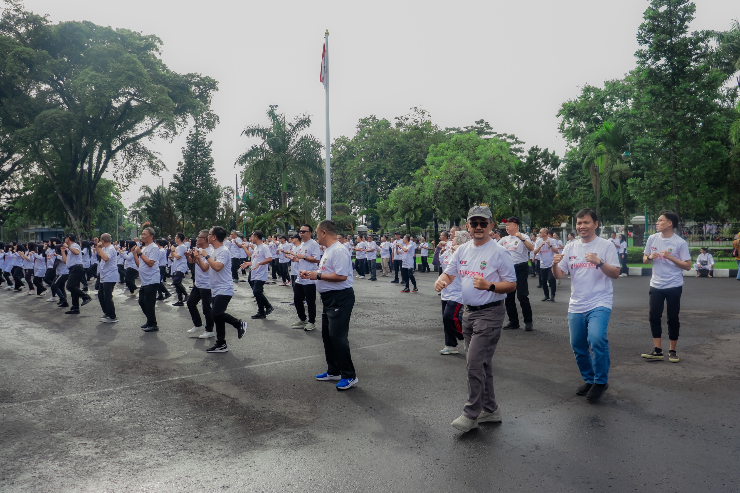 Image of Img 20241206 wa0012