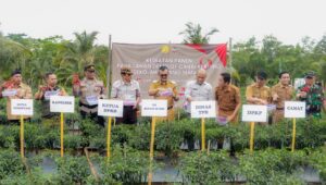 Image of Img 20241223 wa0011