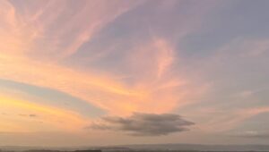 Image of Img 20241224 wa0065