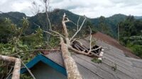 Image of Garut