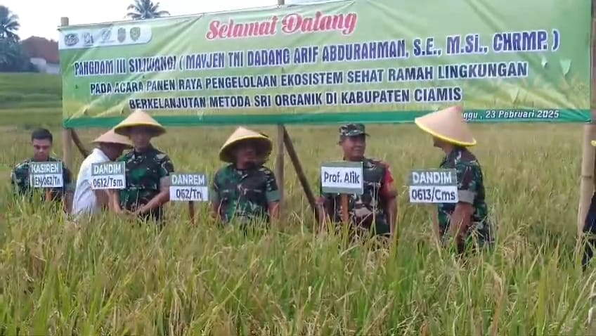 Image of Danrem 062tn panen raya padi organik dengan metode sri di desa cijulang ciamis2