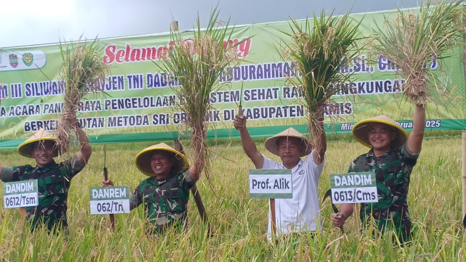 Image of Danrem 062tn panen raya padi organik dengan metode sri di desa cijulang ciamis3