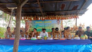 Dukung Ketahanan Pangan, Gebang Kapal Beri Banyak Manfaat untuk Petani Ciamis (istimewa)