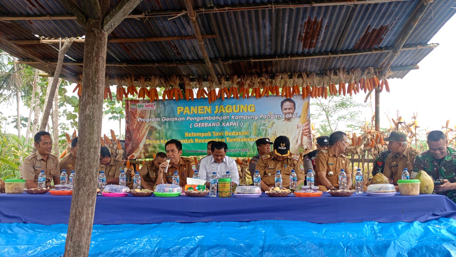 Dukung Ketahanan Pangan, Gebang Kapal Beri Banyak Manfaat untuk Petani Ciamis (istimewa)
