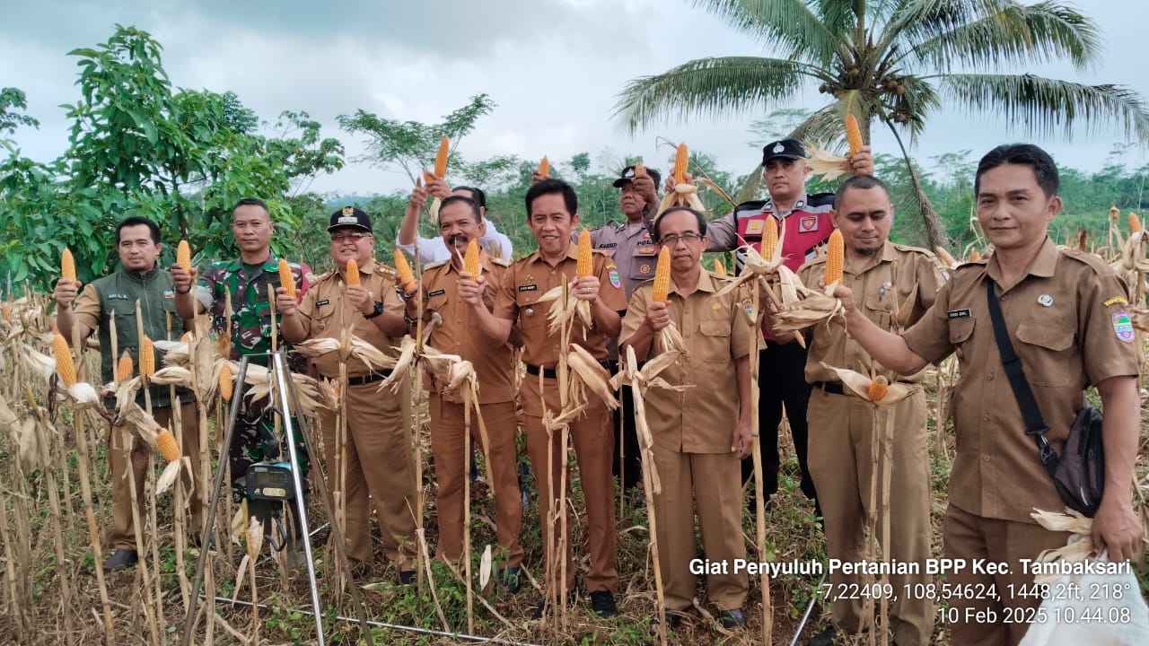 Gebang Kapal di Ciamis, Dorong Produktivitas dan Kemandirian Petani (istimewa) 