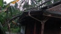 Image of Bpbd ciamis (3)