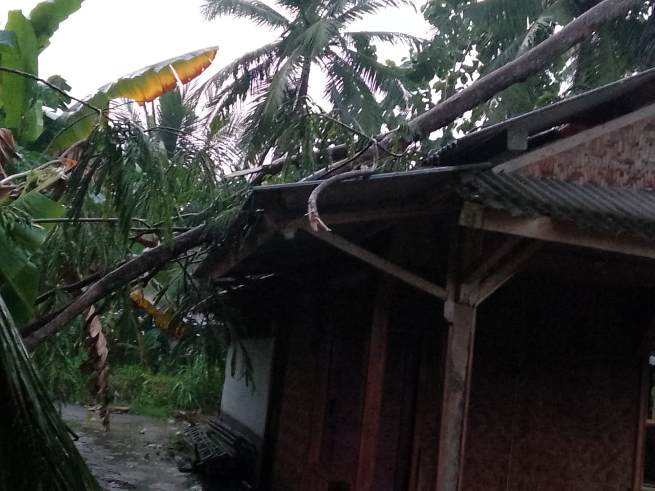 Image of Bpbd ciamis (3)