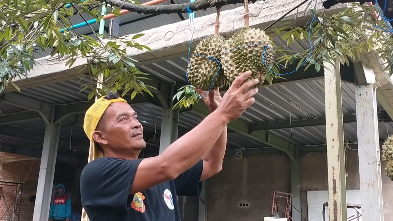 Image of Duren (1)