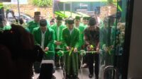 Image of P3 ciamis (1)
