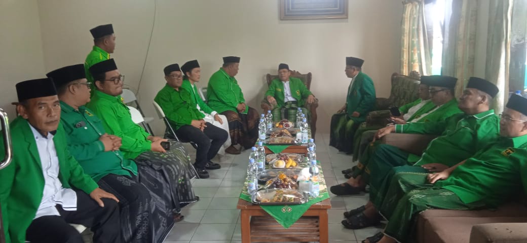 Image of P3 ciamis (2)