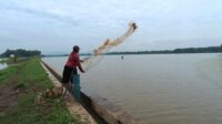 Image of Petani lakbok (1)