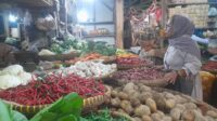 Image of Pewarta (2)
