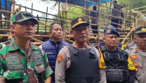Diduga tak berizin, polri dan tni bubarkan kontes adu bagong di cigugur pangandaran Image of Diduga tak berizin, polri dan tni bubarkan kontes adu bagong di cigugur pangandaran