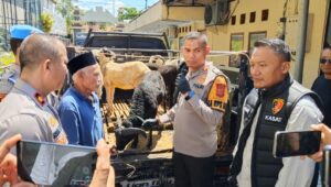 Kapolres Ciamis menyerahkan barang bukti pencurian domba ke pemilik. (Foto: Humas Polres Ciamis) Kapolres Ciamis menyerahkan barang bukti pencurian domba ke pemilik. (Foto: Humas Polres Ciamis)