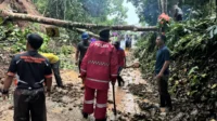 Image of Longsor dan hujan deras putuskan jalan raya salopa cikatomas di tasikmalaya, evakuasi terus dilakukan