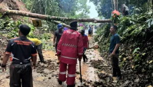 Longsor dan hujan deras putuskan jalan raya salopa cikatomas di tasikmalaya, evakuasi terus dilakukan Image of Longsor dan hujan deras putuskan jalan raya salopa cikatomas di tasikmalaya, evakuasi terus dilakukan