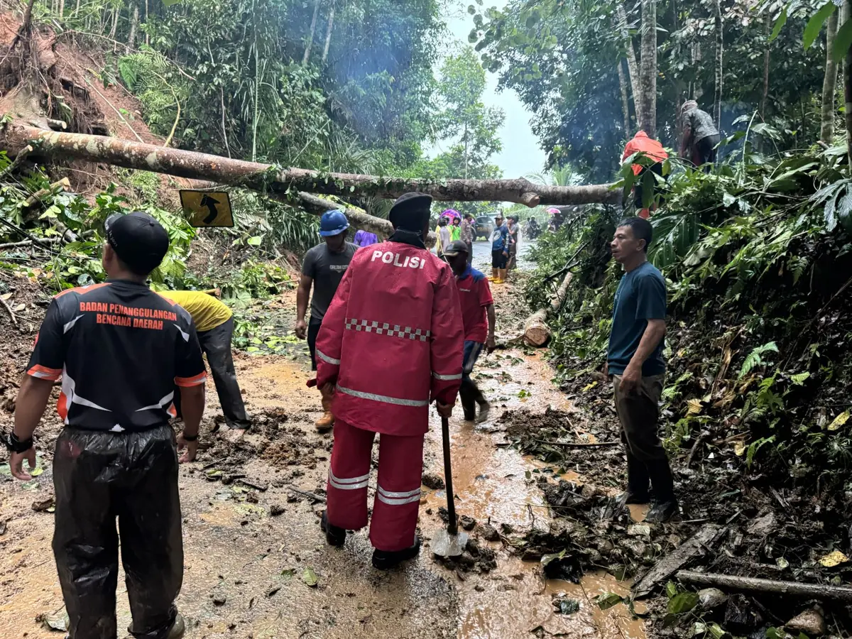 Image of Longsor dan hujan deras putuskan jalan raya salopa cikatomas di tasikmalaya, evakuasi terus dilakukan