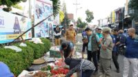 Image of Garut 0a (1)
