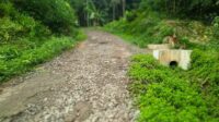 Kondisi jalan milik Pemkot Banjar di Dusun Cipariuk Desa Neglasari rusak parah sejak lama. (Foto: Ist)