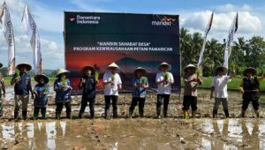 Petani mandiri Image of Petani mandiri