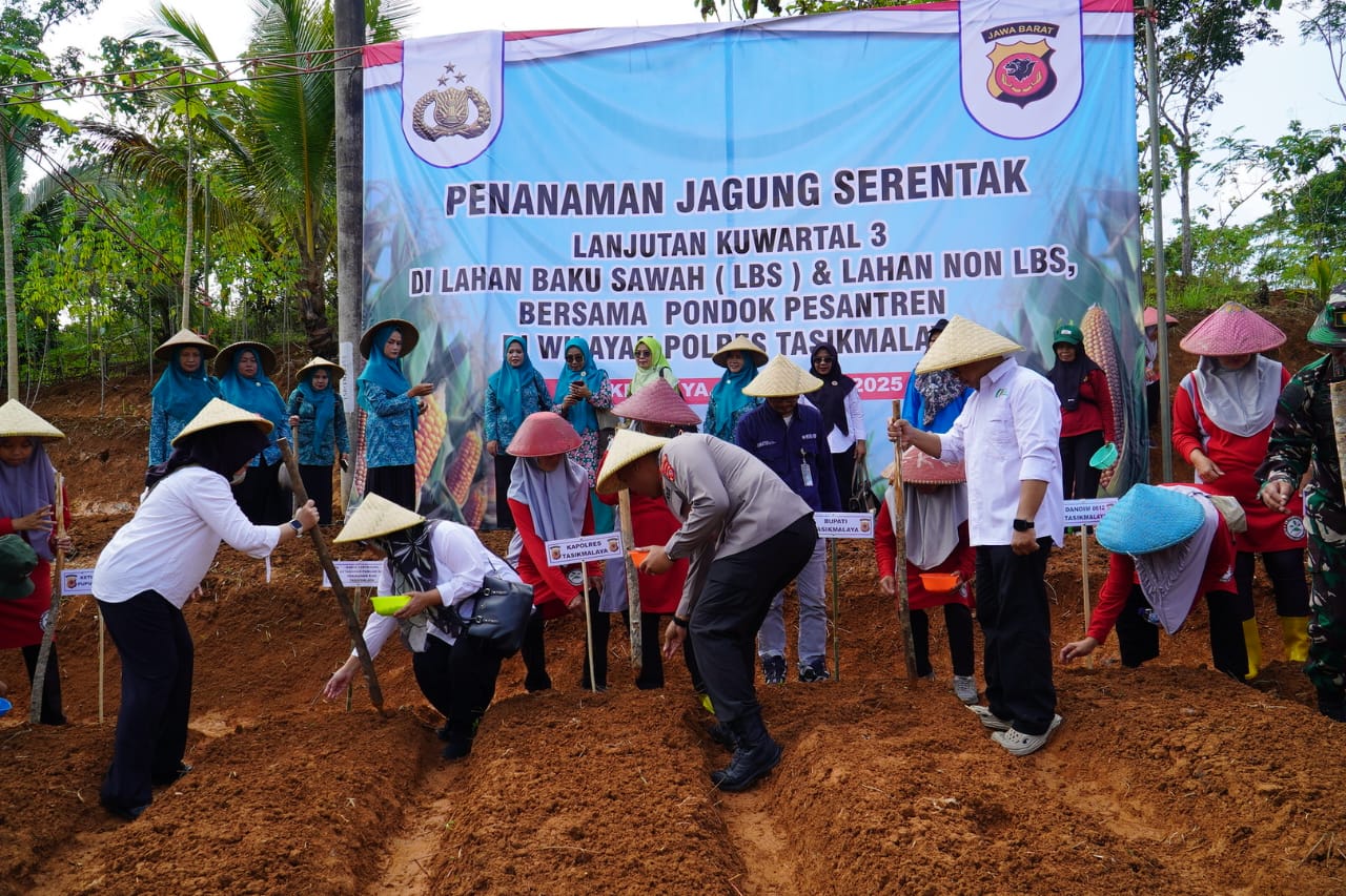 Image of Tanam jagung