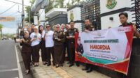 Image of Hakordia (3)