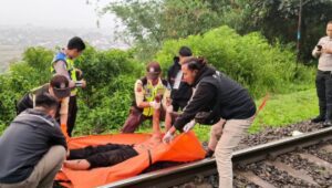 Image of Laka kereta garut (1)