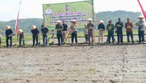 Image of Whatsapp image 2026 04 09 at 13.13.35