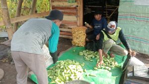 Image of Whatsapp image 2026 04 17 at 10.38.41