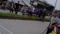 Image of Garut mm