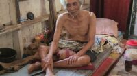 Image of Retan
