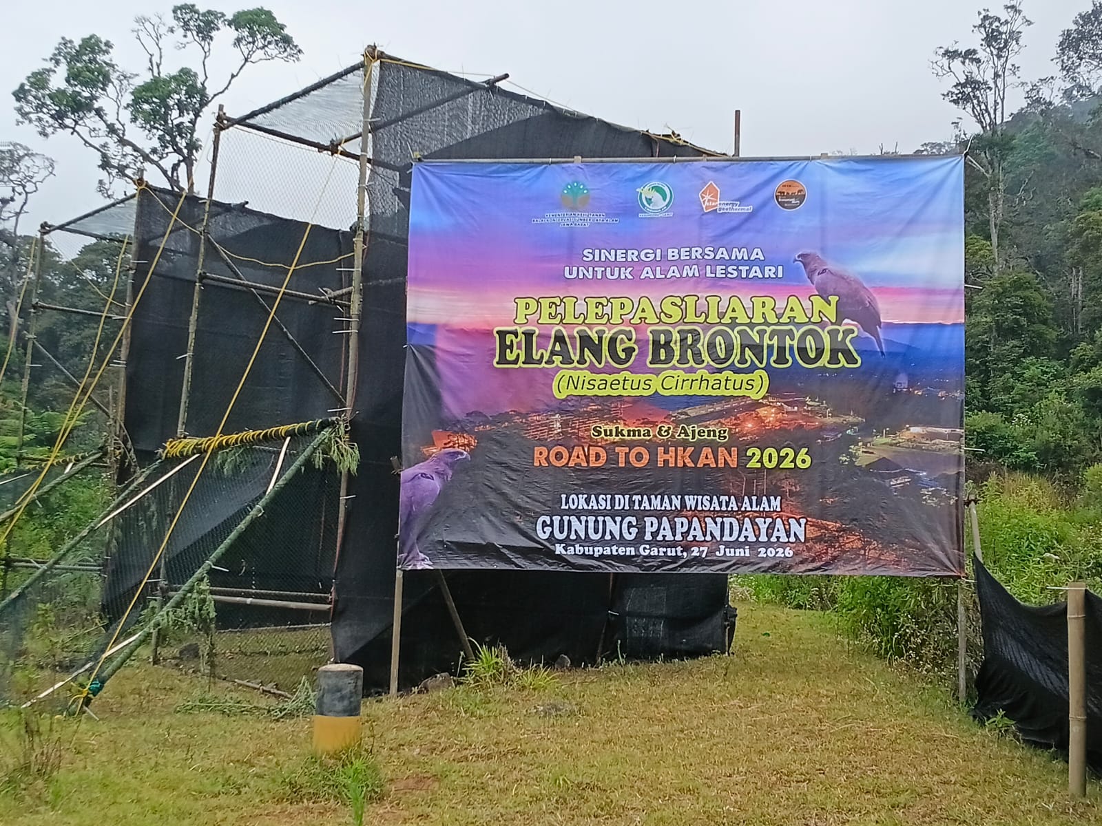 Image of Img 20260627 wa0107