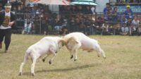 Image of Img 20260912 wa0086