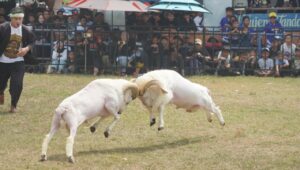 Image of Img 20260912 wa0086