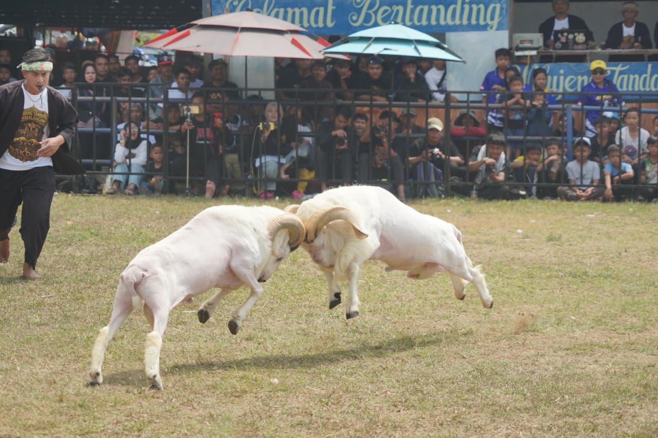 Image of Img 20260912 wa0086