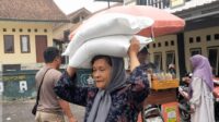 Image of Img 20260925 wa0142