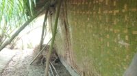 Image of Rumah rusak (2)