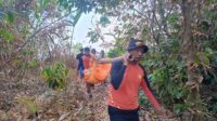 Image of Img 20261003 wa0050